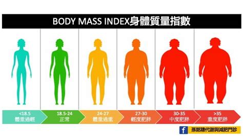 肥胖類型測驗|計算你的BMI值